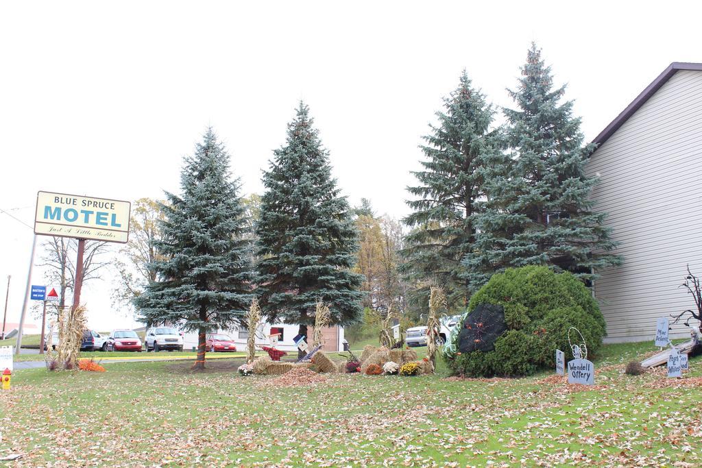 Blue Spruce Motel Массена Экстерьер фото