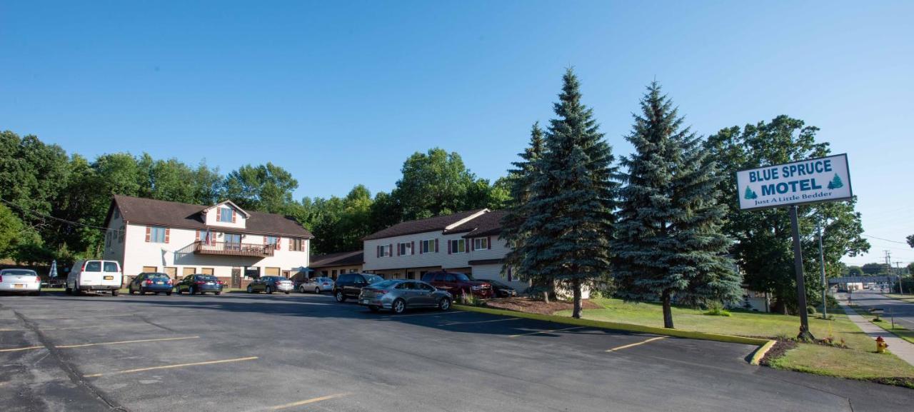 Blue Spruce Motel Массена Экстерьер фото